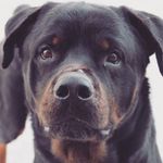Ace Foley - @acefoley221 - Instagram