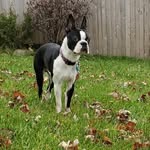 Ace Francis - @adventure_ace0408 - Instagram
