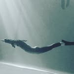 ace - @ace_freediver - Instagram