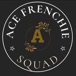 @ace_frenchie_squad - Instagram