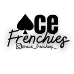 ♣️ACE_Frenchies_♣️ - @ace_frenchies_ - Instagram