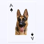 Ace Freeman ♠️ (German Shepherd) - @ace_the_sheppie - Instagram