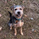 Ace Freeman-Putnam - @ace_captainunderbite - Instagram