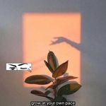 Jhonna Ortega Mirans - @ace_freeman2222222 - Instagram