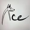Ace Fuller - @ace_fuller - TikTok