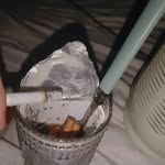 Ace gentile - @benjamin_fish69 - Instagram