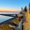Ace.gentile221122 - @ace.gentile221122 - TikTok