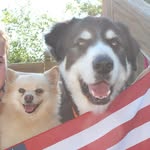 Ace and Harley Grant - @aceandharley - Instagram