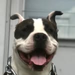 Ace “Boogie” Grant - @aceboogie222 - Instagram