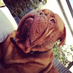 Ace_Green - @ace_green123 - Instagram