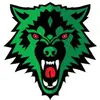 ACES WINTER GREEN INERVIEWS - @aces.winter.green - TikTok