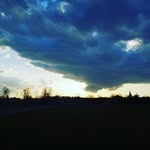ace harrison - @ace_harrison_gallary_canada - Instagram