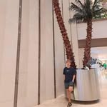 Ace Harrison - @aceharrison777 - Instagram