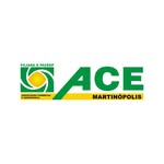 ACE Martinópolis - @acemartinopolis - Instagram