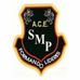 ACE San Martin de Porras - Facebook
