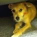 Ace Patel - Facebook