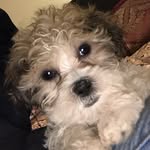 Ace Patel - @halfbreed.ace - Instagram