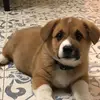 Ace_Patel - @ace_patel - TikTok
