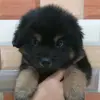 AcePhan - @ace.phan - TikTok