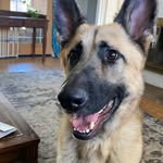 Ace_Price - @ourbudace - Instagram