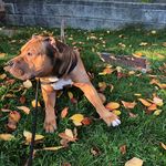 Ace Randhawa - @ace_randhawa - Instagram