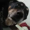 ace rodriguez - @acerodriguez578 - TikTok