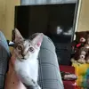 Ace Scott - @ace.scott02 - TikTok