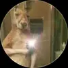 ISAAC ESCOTT - @isacescott - TikTok