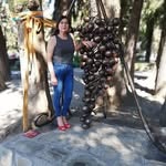 Mirtha Acevedo - @mirtha.acevedo.507 - Instagram