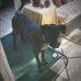 Jan Thomason Bollendorf - Facebook