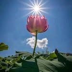 Achuth Harindranadhan Nair - @achuthharindranadhannair - Instagram
