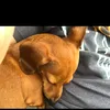 adgreen - @adgreen - TikTok