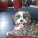 Ad Konings - @ad.konings.5268 - Instagram