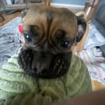 Ada Abbotts - @abbottsada - Instagram