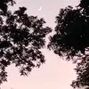 Ada Alfaro - @ada.del.carmen.mo - TikTok