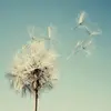 Ada Arnold - @zwk4lyv7 - TikTok