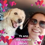 Ada Báez - @adis_20 - Instagram