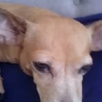 Ada Baez Roddriguez - Facebook