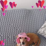 Ada Báez. Rodriguez - @adabaez.rodriguez - Instagram