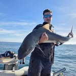 Adam Campbell - @adamjcampbell - Instagram