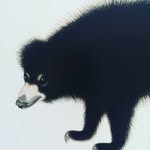adam curtis - @adam666curtis - Instagram
