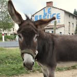 Adada_officiel - @adada_officiel - Instagram