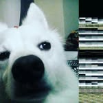 adam gates - @adam__gates - Instagram