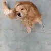 Ada Gomez - @ada.gomez72 - TikTok