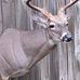 Adam Howell - Facebook