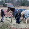 kiia_Nelli_Ada_hullutvideot - @ihana_korppu - TikTok