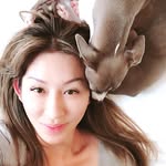 Ada Hung - @italiangreyhound_oliver - Instagram
