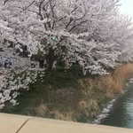 ADA Hung - @adahung_ - Instagram