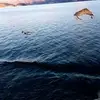 Ada Hung - @31786555553 - TikTok