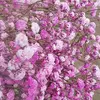 Ada Hung - @2154205266 - TikTok